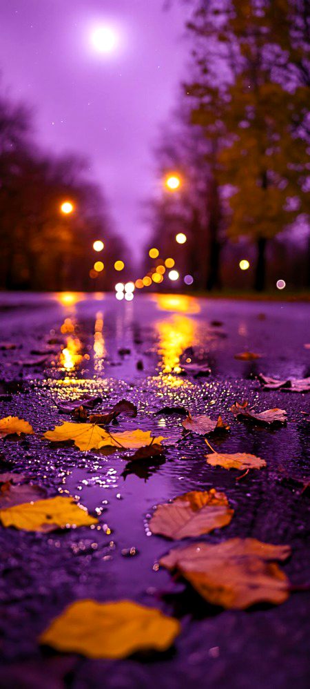 Beautiful Nature image