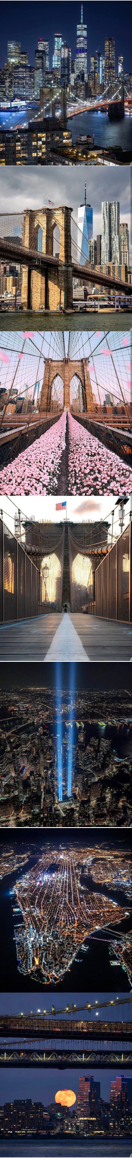 Beautiful Structures image
