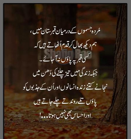 صحیح کہا❤✔