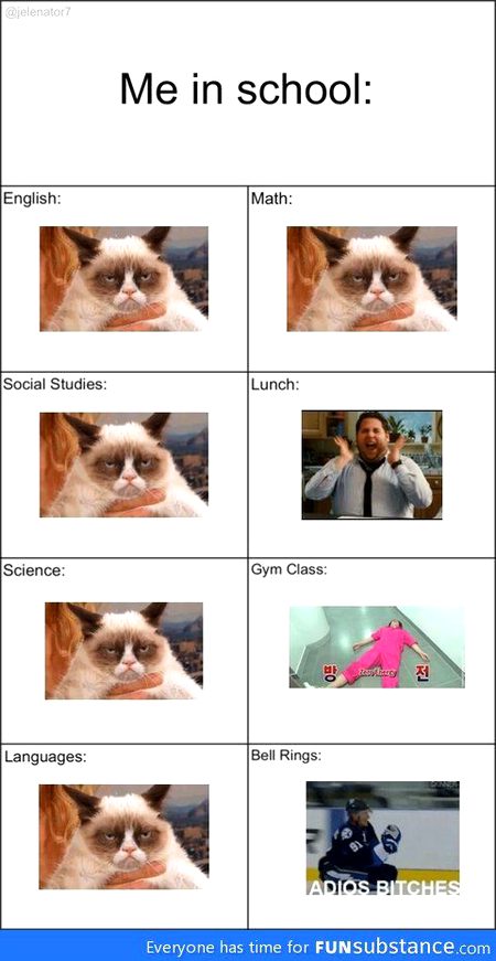 Memes & Satire image