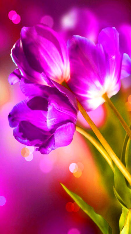 Beautiful Nature image