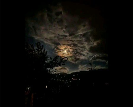 Beautiful Nature image