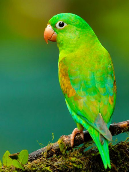Beautiful Nature image