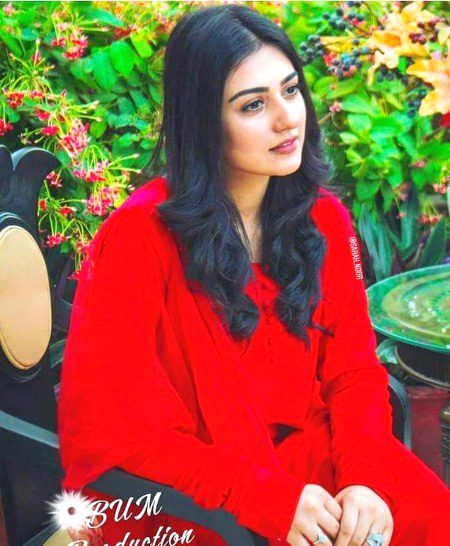 Pakistani Celebs image