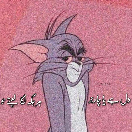 Memes & Satire image