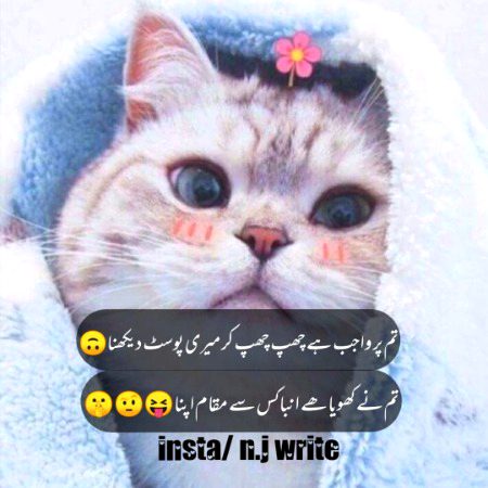 Jokes image