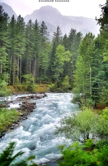 Beautiful Nature image