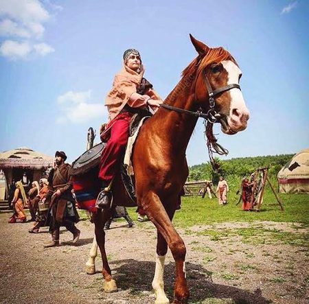 Turkish Celebs image