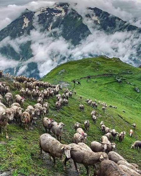 Beautiful Nature image