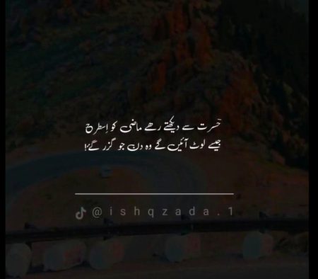 جو گزر گئے 💔