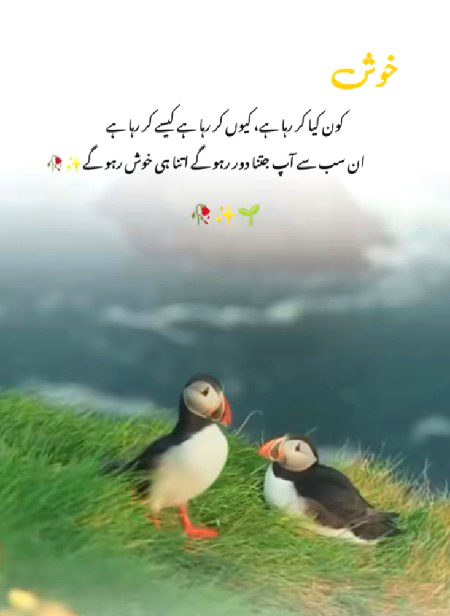 Life Advice image