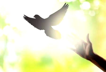 خرید کر جو پرندے اُڑاۓ جاتے ہیں 
ہمارے شہر میں کثرت سے پاۓ جاتے ہیں ✌️
کہیں مِلو گے تو جان جاؤ گے یار 👍💔
ہم ایسے ہیں نہیں , جیسے بتاۓ جاتے ہیں😊