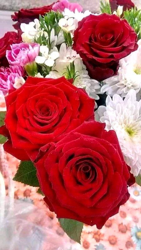 Beautyfull 👍👍😘😘