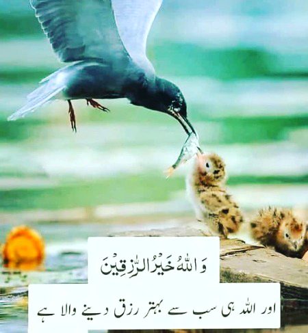 Islamic Quotes image