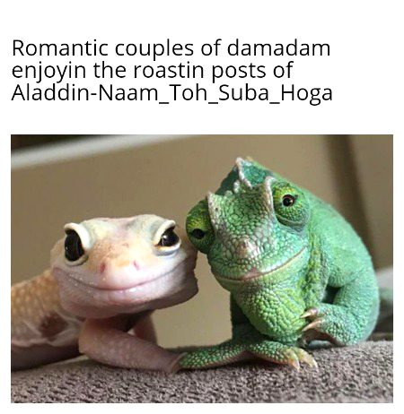 Damadam Roasting image