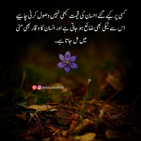 💯🎀💯🎀❇️⭐️❇️🎀💯🎀💯