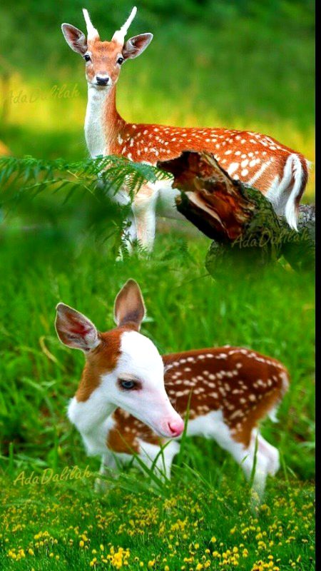 Beautiful Nature image