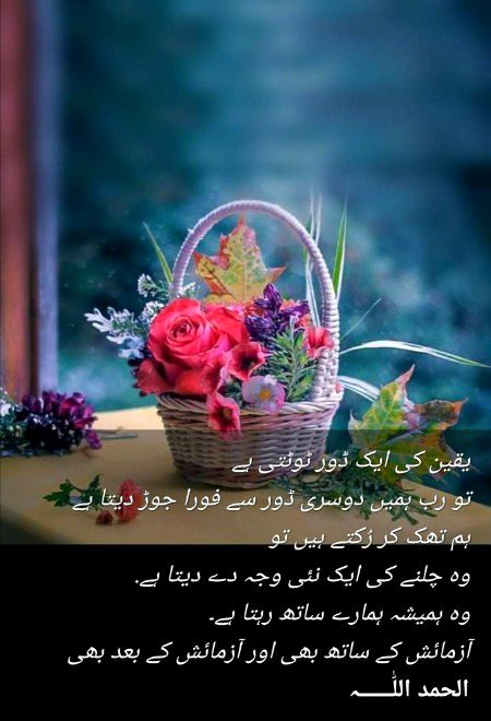 Beshak best msg for you.