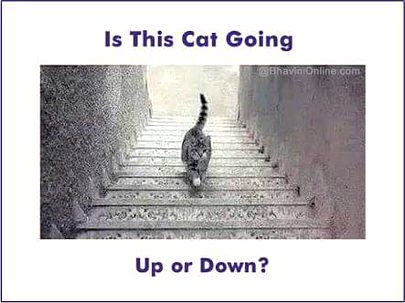 Riddles & Puzzles image