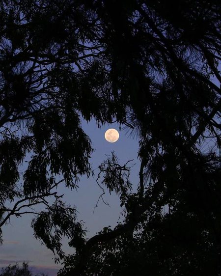 Beautiful Nature image