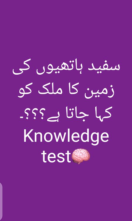 Knowledge Test image