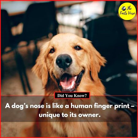 Interesting Posts image