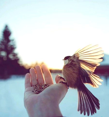 Beautiful Nature image