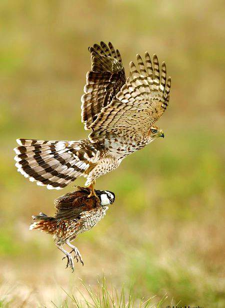 Beautiful Nature image
