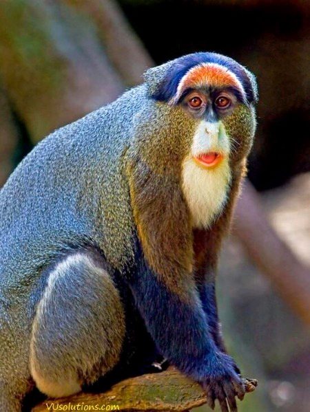 Beautiful Nature image