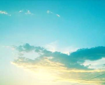 Beautiful Nature image