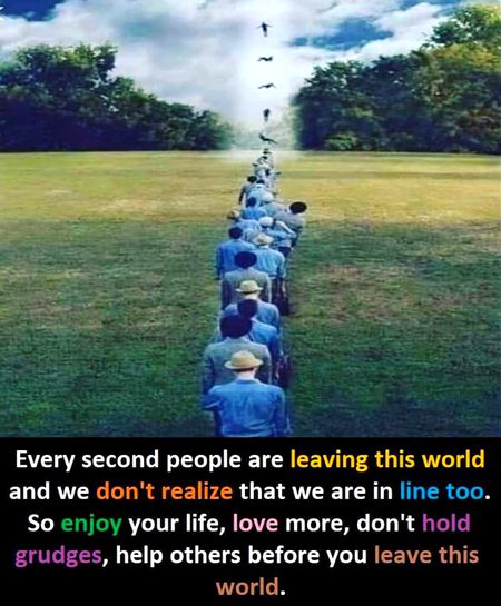 Life Advice image