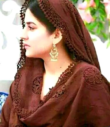 Pakistani Celebs image