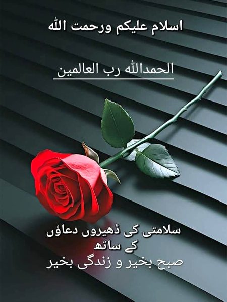 Islamic Quotes image