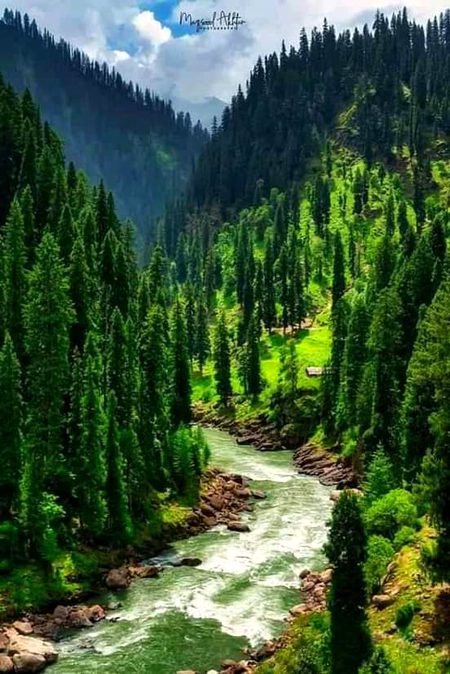 Beautiful Nature image