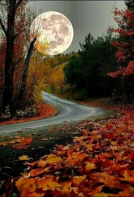 Beautiful Nature image