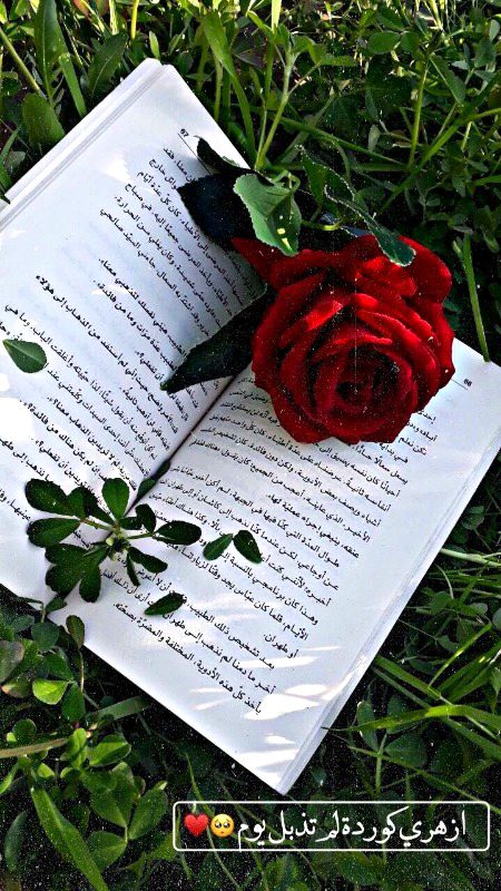 Beautiful Nature image