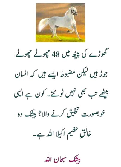 Beshak...