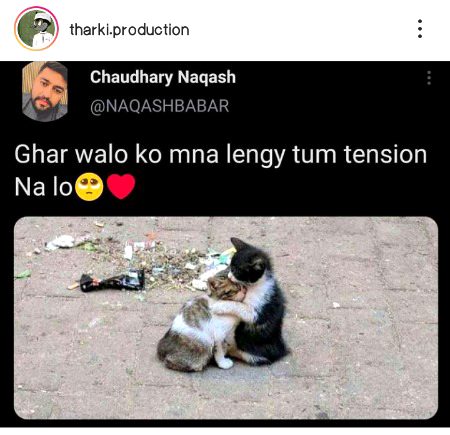 Memes & Satire image