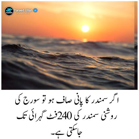 Interesting Posts image
