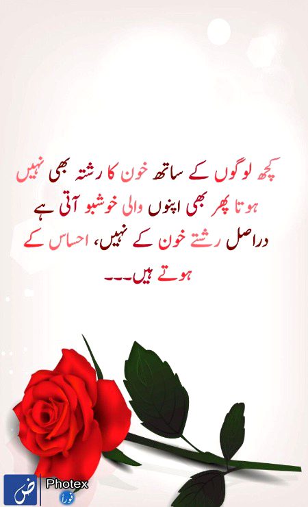 Motivational Quotes image