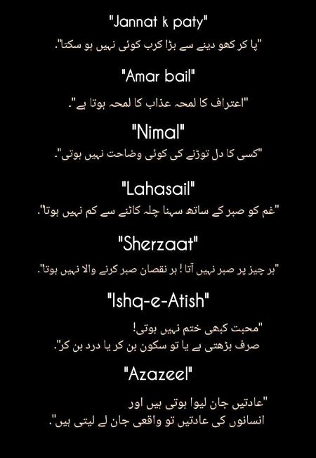 Novel....💐👌🌷..pari