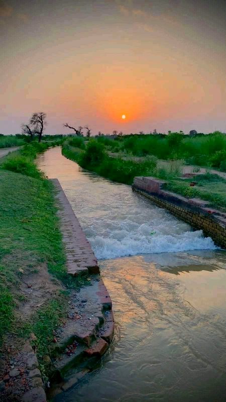 Beautiful Nature image