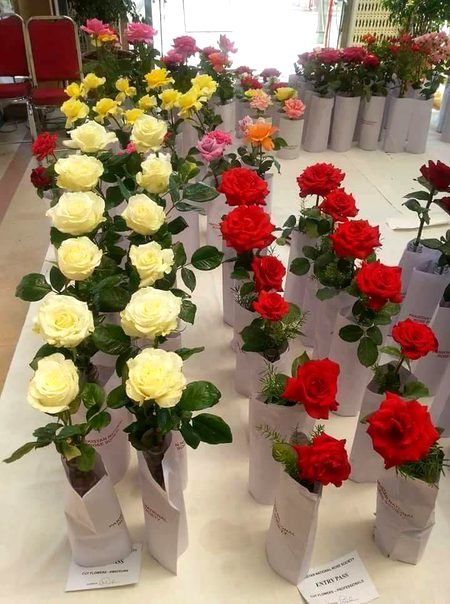 Beautiful Nature image