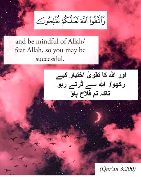 Islamic Quotes image