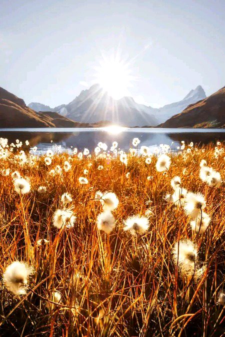 Beautiful Nature image