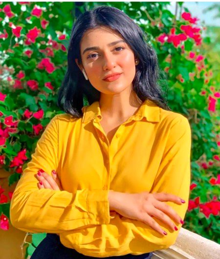 Pakistani Celebs image