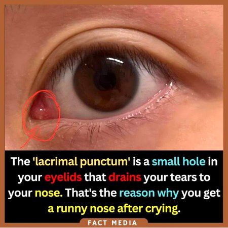 Interesting Posts image