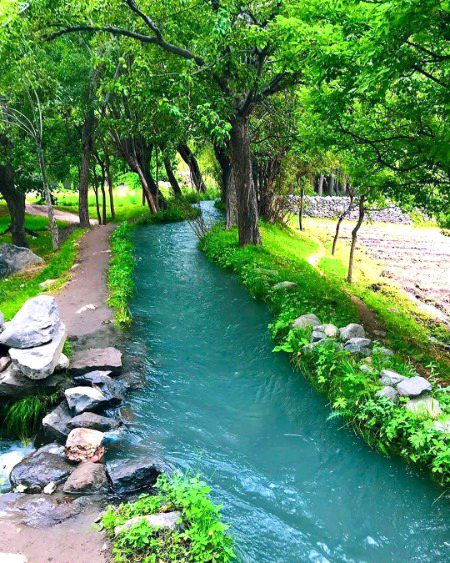 Beautiful Nature image