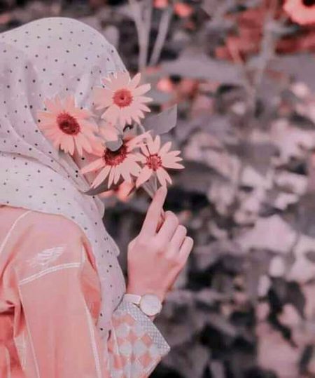 Beautiful Nature image