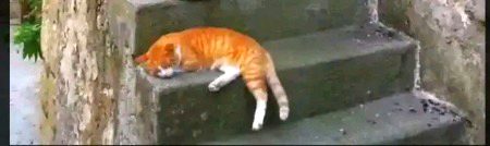 پہلے ہوتی ہے عمر بھر کی بات۔۔۔۔
بعد میں بات بھی نہیں ہوتی ہے ۔۔۔۔ 
🖤